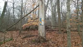 20170102_123302.webp