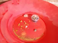 Gold from 3 lbs of Dirthogg PayDirt.webp
