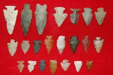 Colorado Artifacts (26).webp