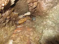 1. Breccia zone crystals.webp