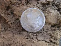 Mojave 10 Pieces of Silver 003.webp