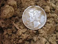 Mojave 10 Pieces of Silver 005.webp