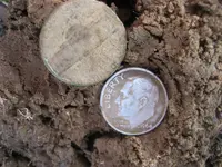 Mojave 10 Pieces of Silver 008.webp