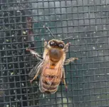 DSCN0999.webp