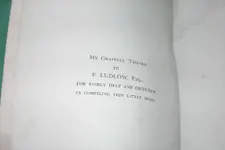 .22 RIMFIRE 045.webp