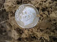 Mojave 10 Pieces of Silver 015.webp