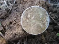 Mojave 10 Pieces of Silver 028.webp