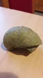 16930770_10211119893289439_1410821488_o.webp