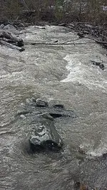 rock.webp