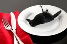 eating-crow.webp