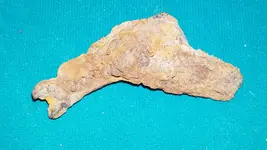20170212_151844.webp