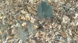 IMAG1137.webp