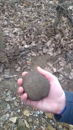 KIMG0465.webp KIMG0465.webp