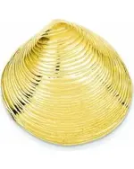 golden clam.webp