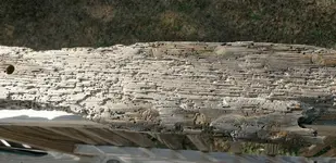 shipwreck 1.webp
