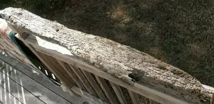 Shipwreck.webp