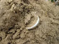 Fors Relic - Genie - Pendant -Ring -3 Rosie Dimes 008.webp