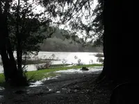 005.webp