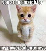FB_IMG_1486085610319.webp
