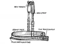 The-Breast-Collar-624x443.webp