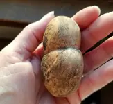20170222_173336.webp
