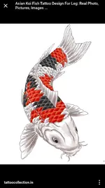 ImageUploadedByTreasureNet.com1487809318.152783.webp