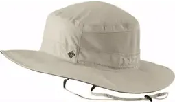 hat.webp