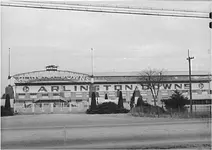 Arlington Downs.webp