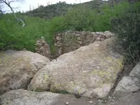 IMGP2928.webp