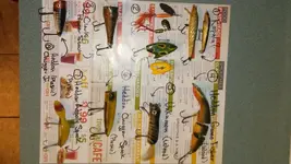 lures1.webp