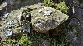 20170210_110218.webp