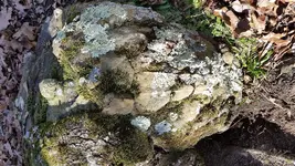 20170210_111800.webp