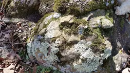 20170210_110205.webp