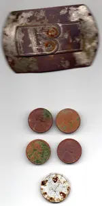 finds01192017009.webp finds01192017009.webp