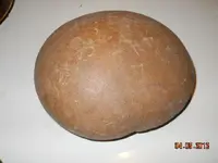 3374_3261872565927_1864768698_n.webp