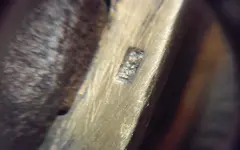 20170119_181011.webp