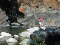 162_6242.webp 162_6242.webp
