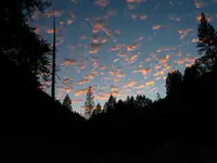 162_6261.webp 162_6261.webp