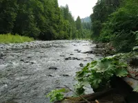 196_9604.webp 196_9604.webp
