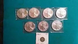 0119 2016 Clad to Silver.webp 0119 2016 Clad to Silver.webp