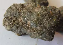 P1040220.webp