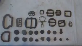 buckles buttons.webp