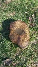 unnamed-4.webp