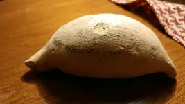 img20170104_141002.webp
