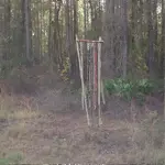 sticks.webp