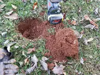 20161228_160458.webp