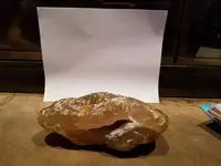 16114347_364400250584245_6262585712016411198_n.webp