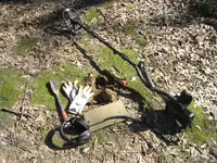 Fors Relic 3 Rosie Dimes 001.webp