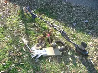 Fors Relic 3 Rosie Dimes 005.webp