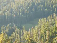 170_7093.webp